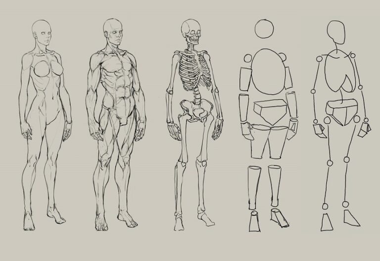 How Long Does It Take to Get Good at Drawing: Basic Info & Advice